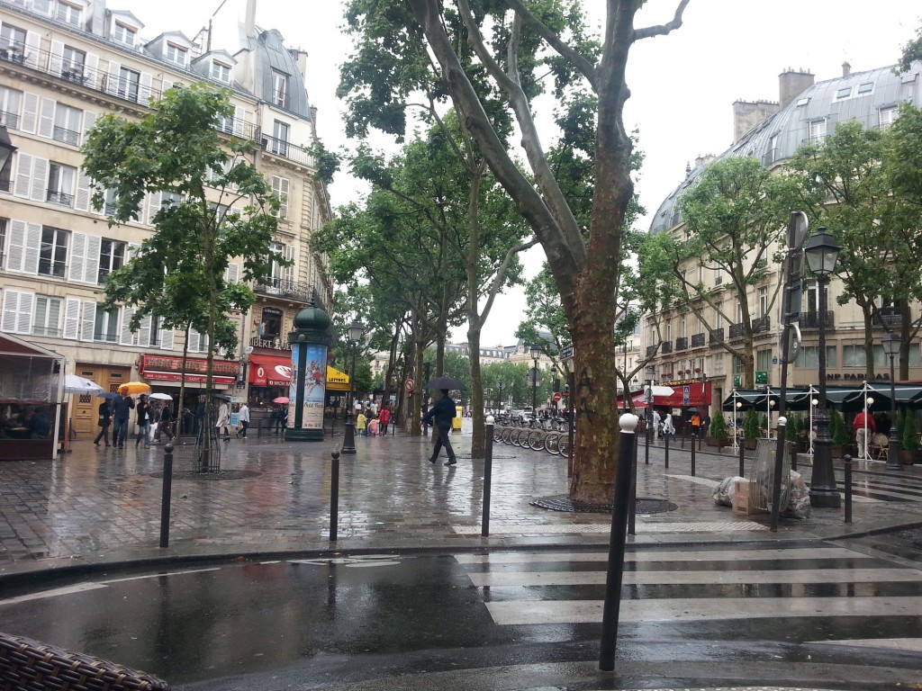paris_nettan_miljo32